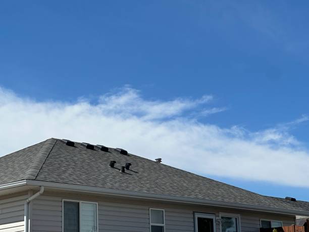 Best Gutter Installation and Repair  in Roseto, PA